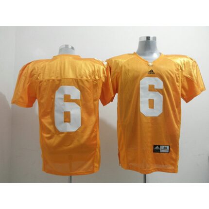 Vols #6 Denarius Moore Orange Stitched NCAA Jersey