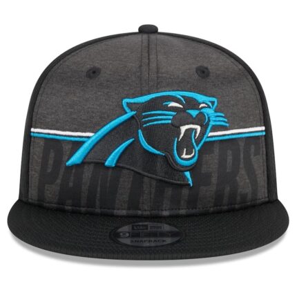 Carolina Panthers Snapback Hat